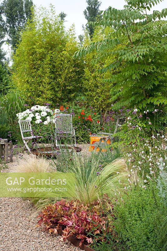 Gravel garden, Nasella tenuissima, Heuchera Marmalade, Phyllostachys 