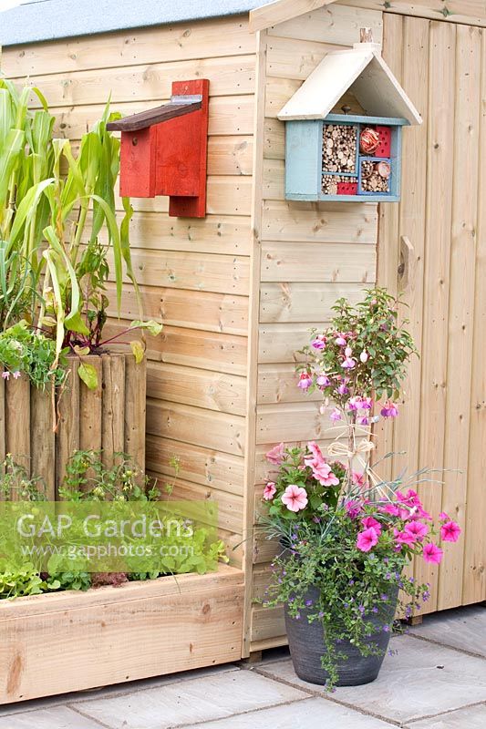 Birdhouse and insect hotel 