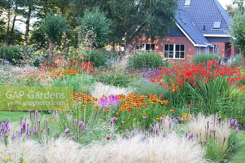 Garden with perennials and grasses, Stipa gigantea, Nasella tenuissima, Helenium Luc, Crocosmia Lucifer, Liatris pycnostachya 