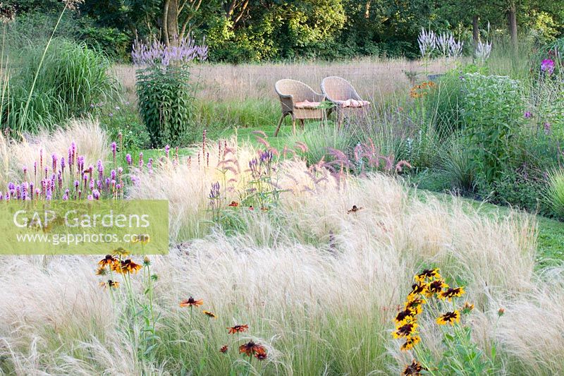 Bed with perennials and grasses, Nasella tenuissima, Rudbeckia hirta Cappuccino, Liatris pycnostachya, 