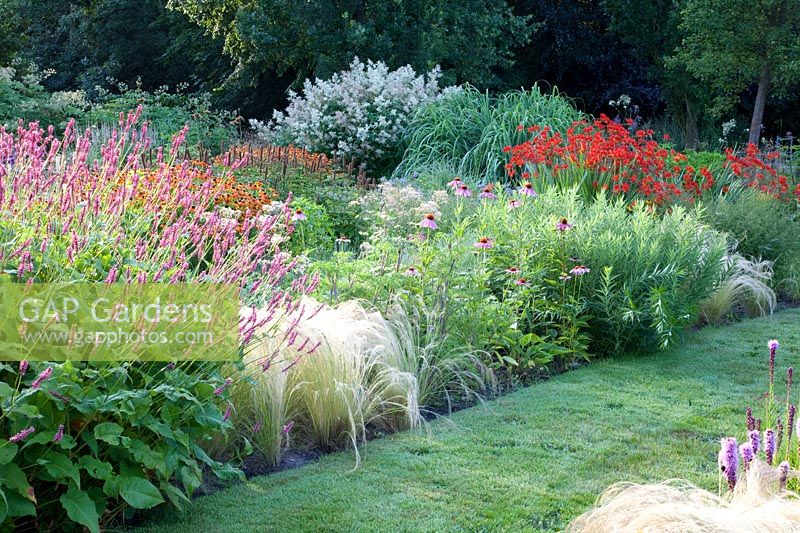 Bed with perennials and grasses, Helenium Luc, Crocosmia Lucifer, Nasella tenuissima, Persicaria amplexicaulis Firedance, Aconogonon speciosum Johanniswolke, Echinacea purpurea, Selinum wallichianum 