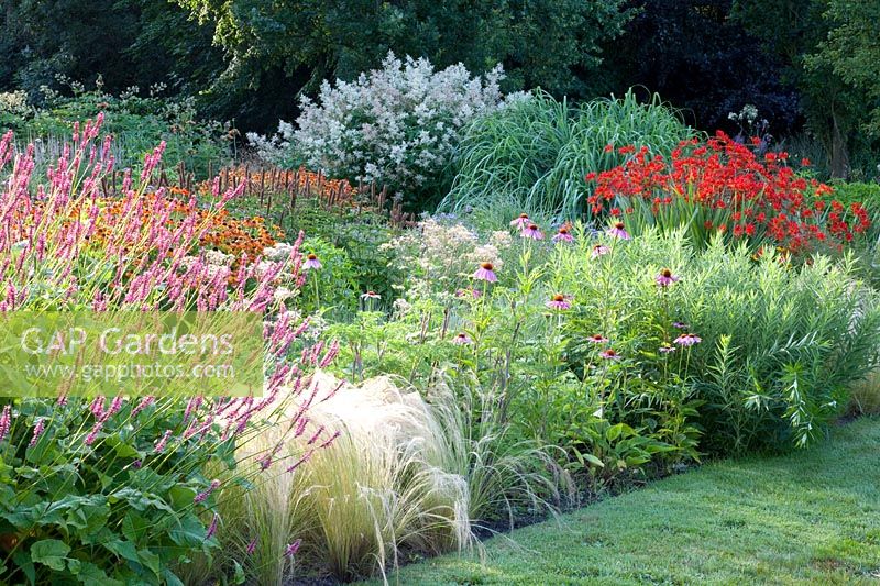 Bed with perennials and grasses, Helenium Luc, Crocosmia Lucifer, Nasella tenuissima, Persicaria amplexicaulis Firedance, Aconogonon speciosum Johanniswolke, Echinacea purpurea, Selinum wallichianum 