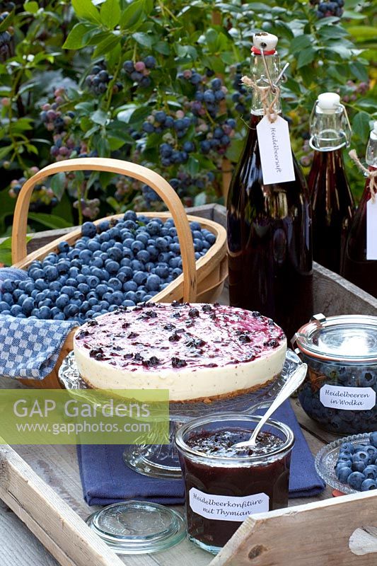 Blueberry jam with thyme, blueberry tart, blueberry syrup, blueberry juice, blueberries marinated in vodka 