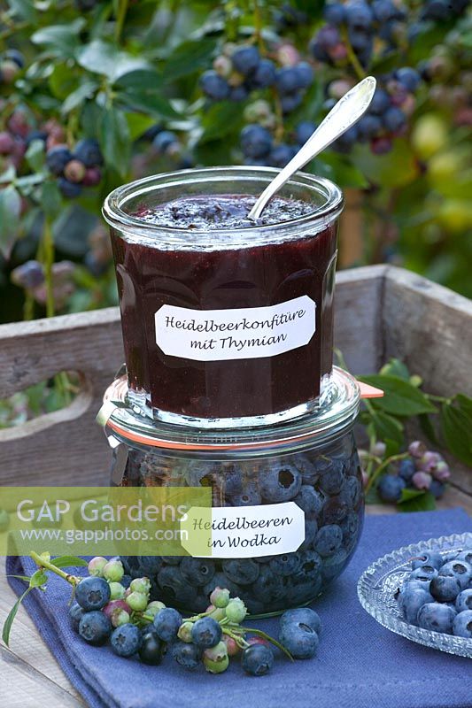 Blueberry jam with thyme, blueberries marinated in vodka, Vaccinium corymbosum Legacy 