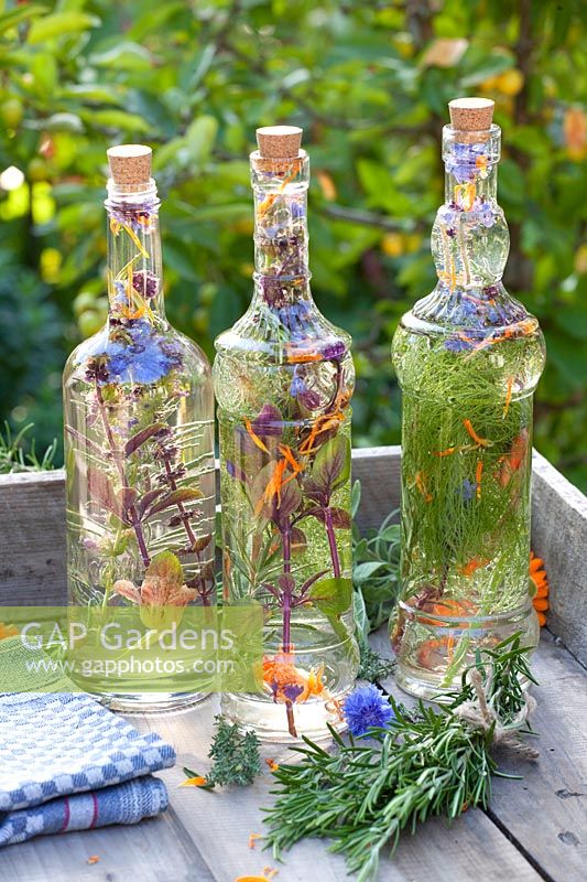 Herbal vinegar in bottles 