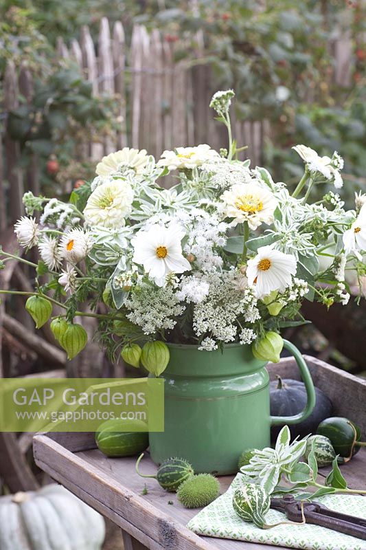 Bouquet with annuals, Cosmos bipinnatusTetra Versailles White, Ageratum houstonianum Dondo White, Zinnia Benary White, Euphorbia marginata, Helichrysum bracteatum, Statice sinuata Iceberg, Daucus carota, Physalis ixocarpa 