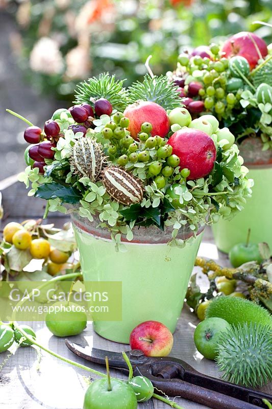 Arrangement with apples, hydrangea, St. John's wort berries and ornamental cucumbers 