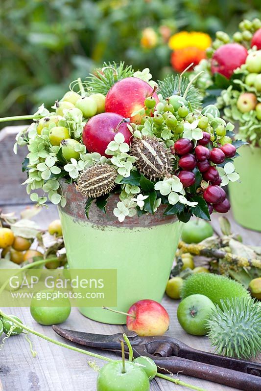 Arrangement with apples, hydrangea, St. John's wort berries and ornamental cucumbers 