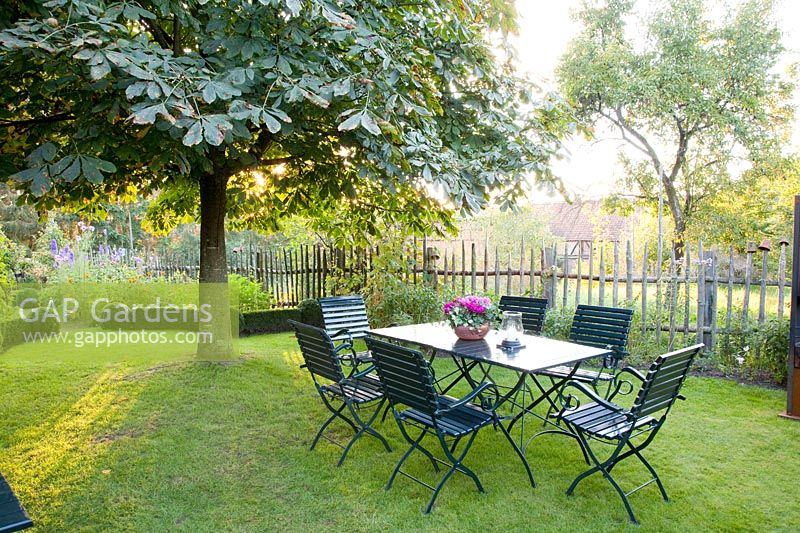 Seat under chestnut tree, Aesculus hippocastanum 