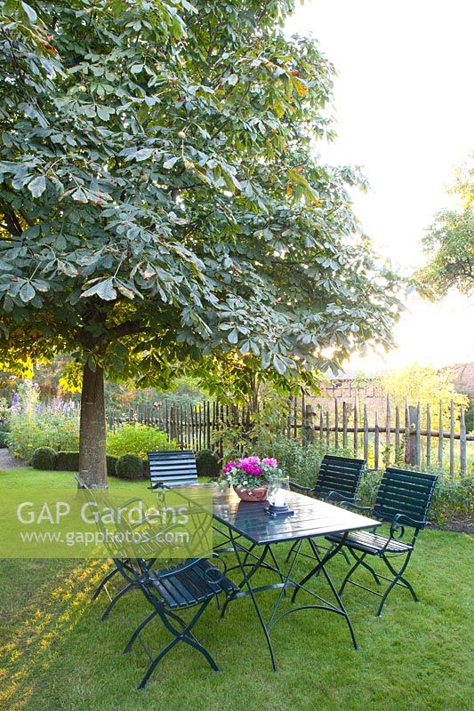 Seat under chestnut tree, Aesculus hippocastanum 