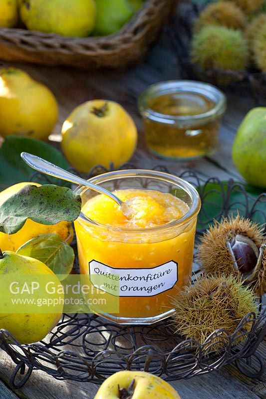 Quince jam with oranges, Cydonia oblonga 