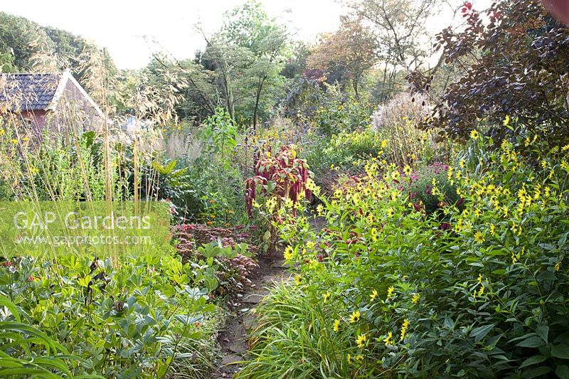 Bed with annuals, perennials and grasses 