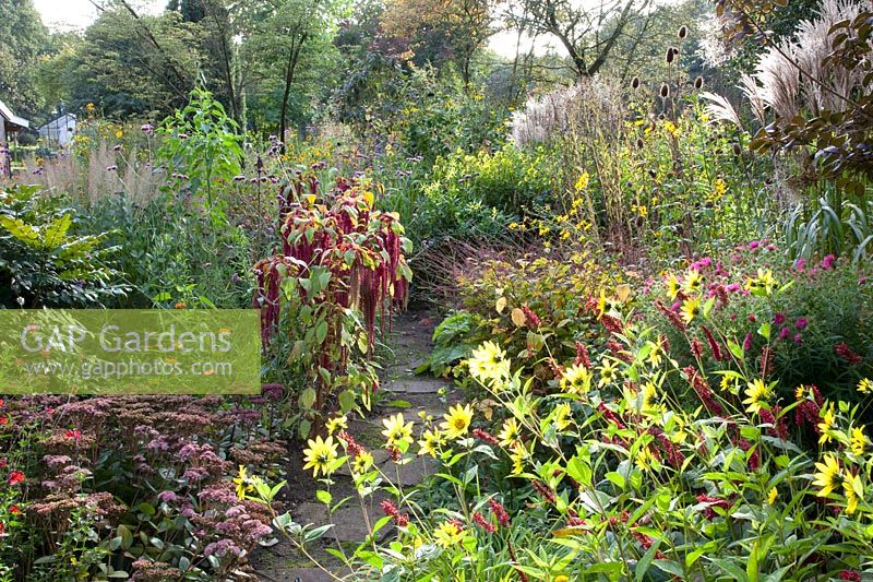 Bed with annuals, perennials and grasses 