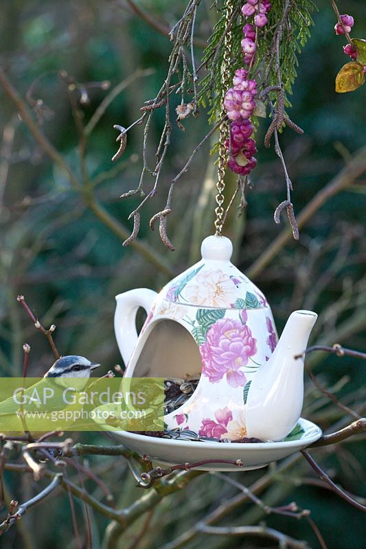 Teapot feeder with bird food and blue tit 