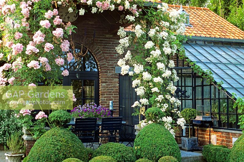 Pergola and seating area with climbing rose 