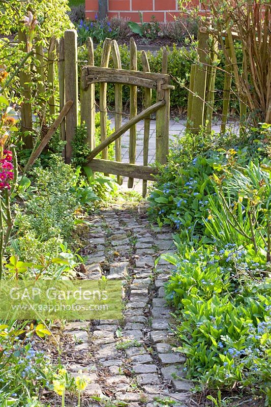 Path with natural stone paving and memorial, Omphalodes verna 