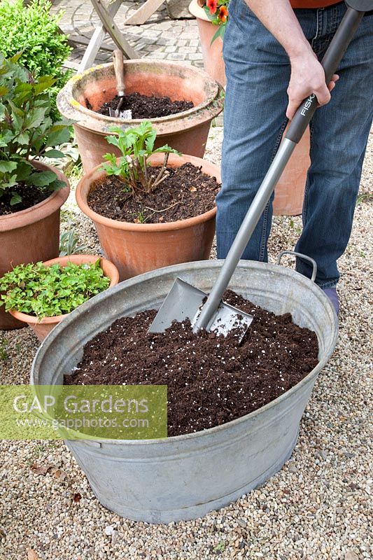 Sow flower meadow in a metal tray, add potting soil to the tray 