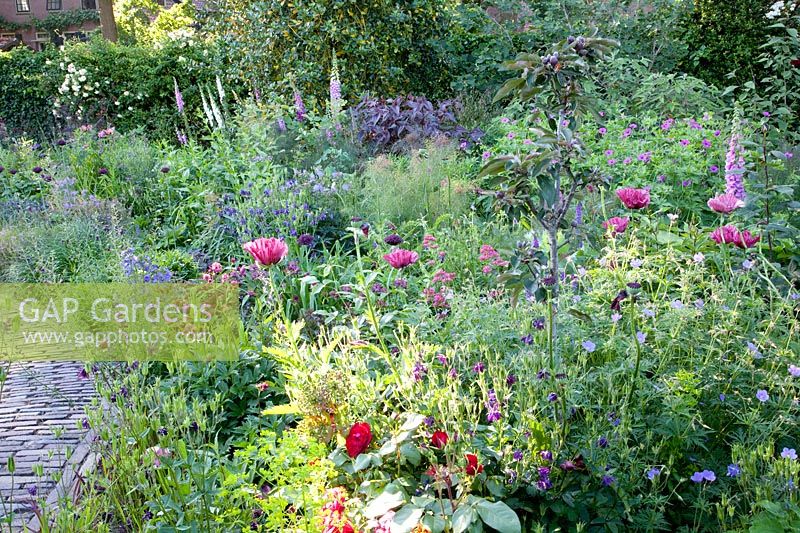 Bed with herbs and perennials 