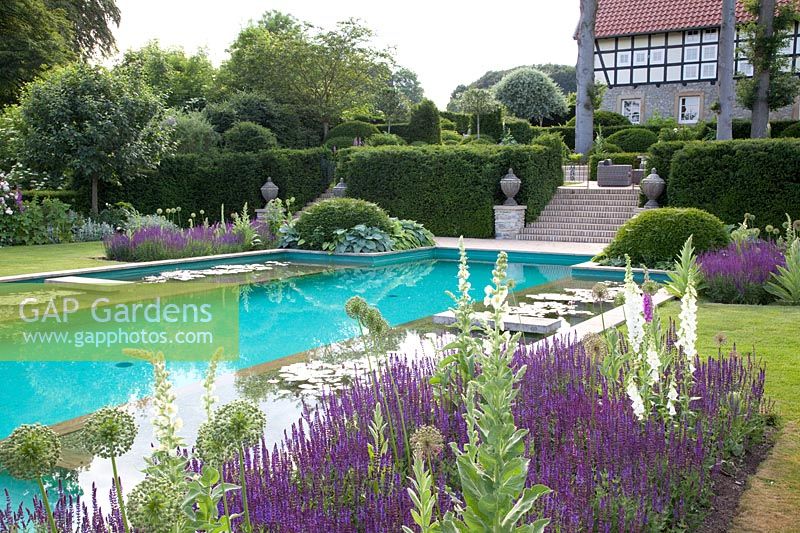 Swimming pond with adjacent planting 