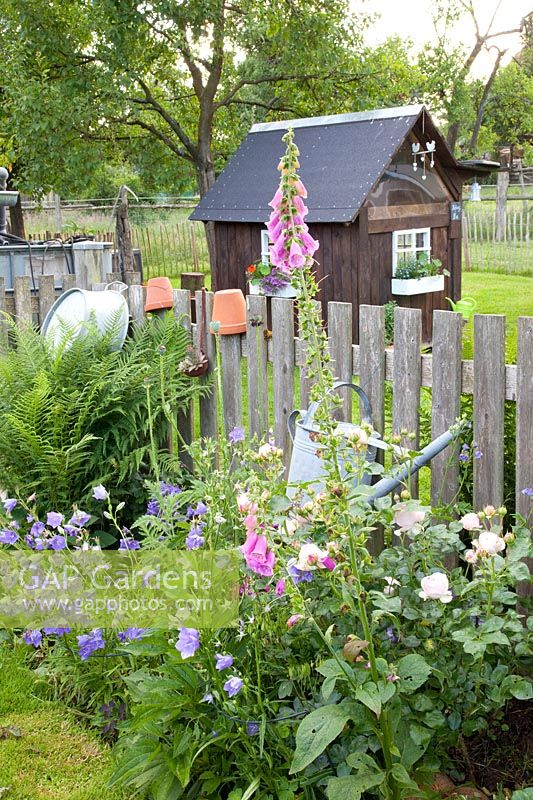 Rural garden with children's playhouse, Rosa, Campanula 