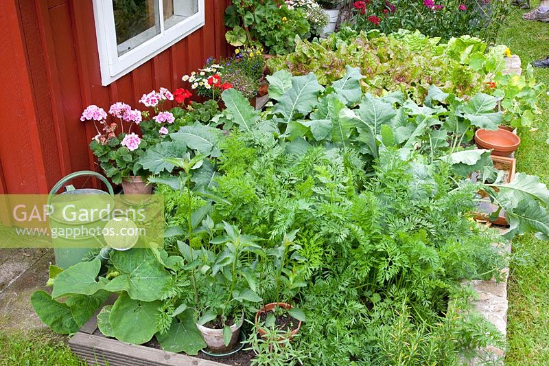 Vegetable patch at the garden house 