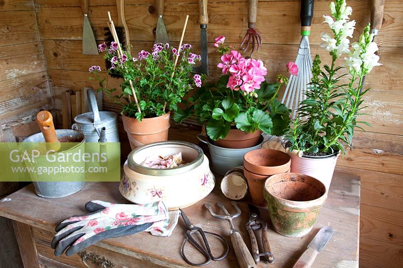 Work table in the garden house 