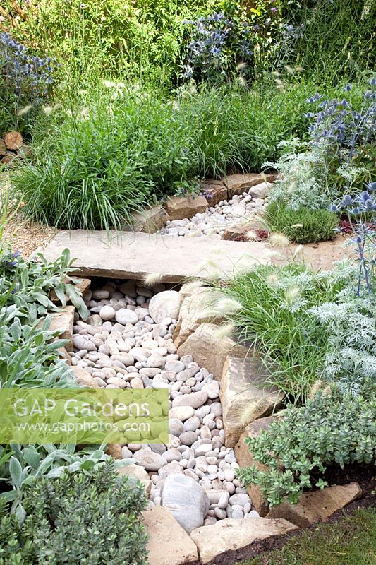 Garden with dry stream, Eryngium, Artemisia, Pennisetum 