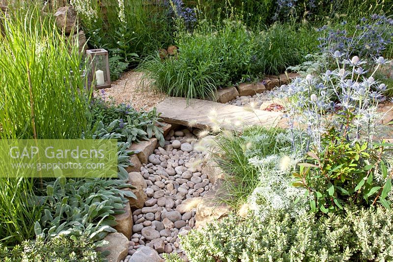 Garden with dry stream, Eryngium, Artemisia, Pennisetum, Stachys byzantina 