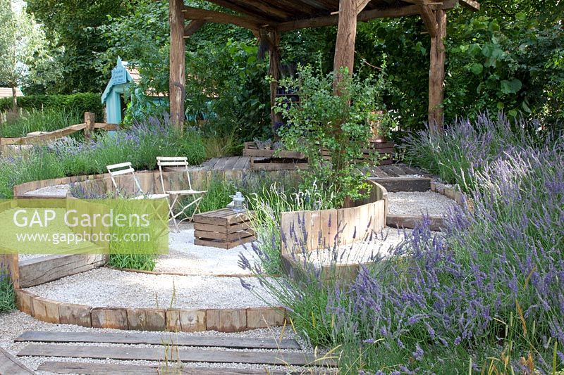 Gravel garden with lavender, Lavandula 
