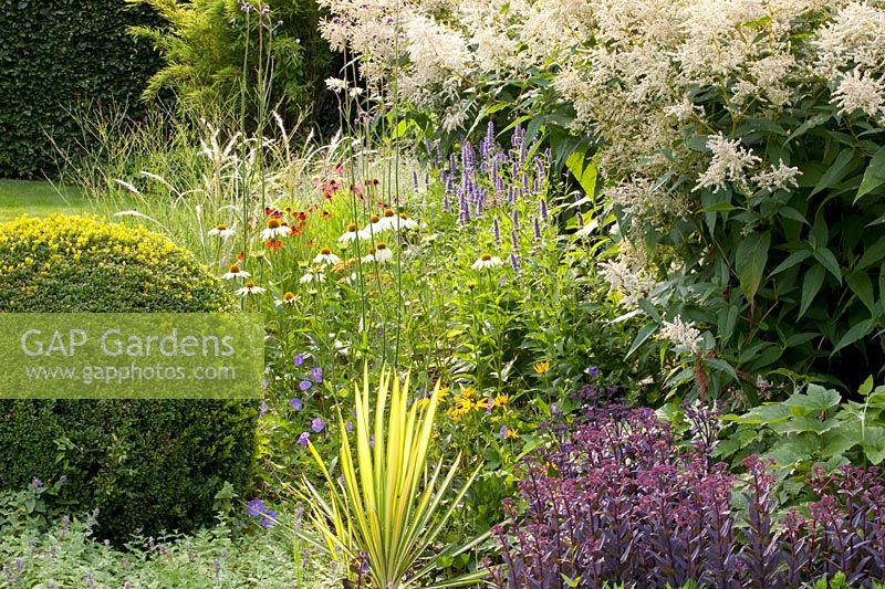 Bed with prairie perennials, Echinacea purpurea Alba, Helenium Mardi Gras, Stipa Ichu, Sedum Jose Aubergine, Aconogonon speciosum Johanniswolke, Yucca filamentosa Golden Sword 