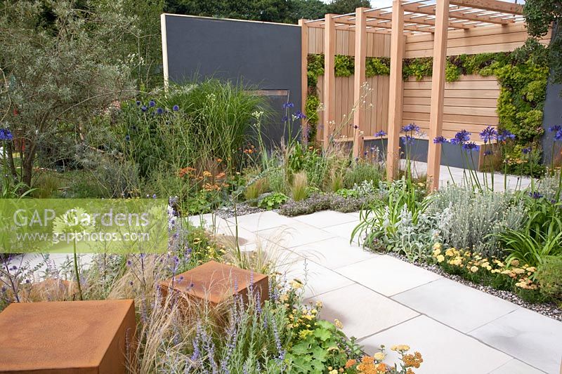 Modern garden with pergola 