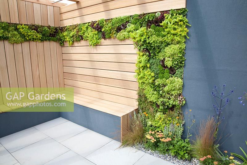 Plant wall in a modern garden 