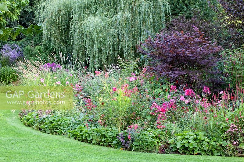 Bed with grasses and perennials 