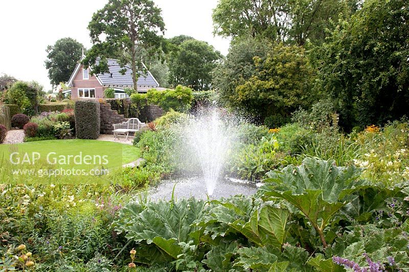 Pond with fountain in the country house garden, Gunnera 