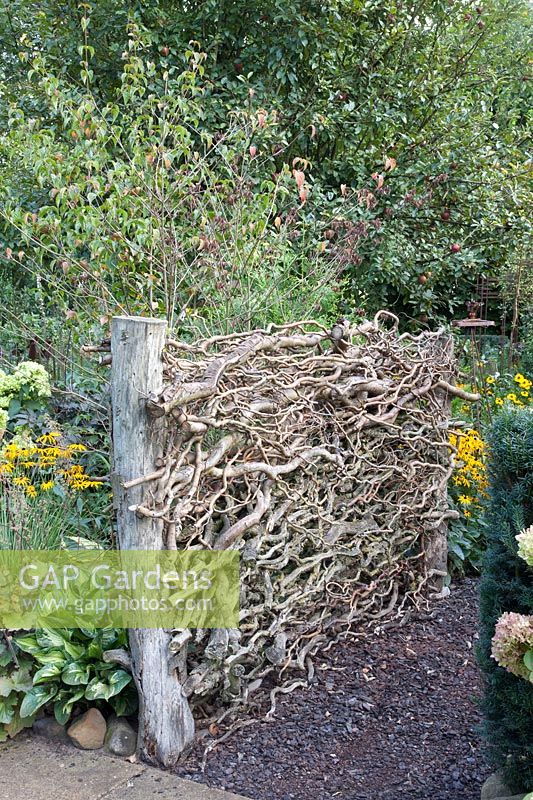 Fence made of branches of the corkscrew hazel, Corylus avellana Contorta 