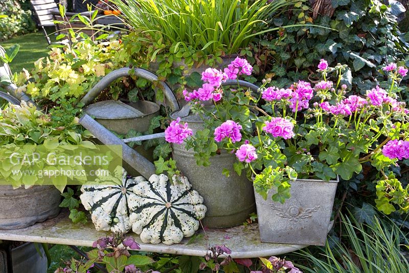 Pot garden on the terrace 