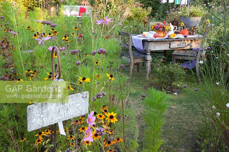 Seating in a flower meadow with a sign 'Butterflies Welcome' in the foreground 