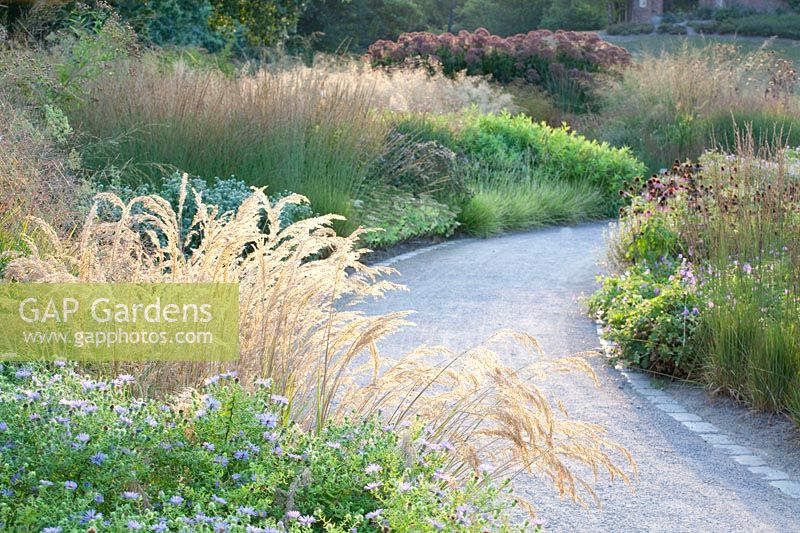 Curved path and bed with asters and silvergrass, Aster oblongifolius October Skies, Achnatherum calamagrostis 