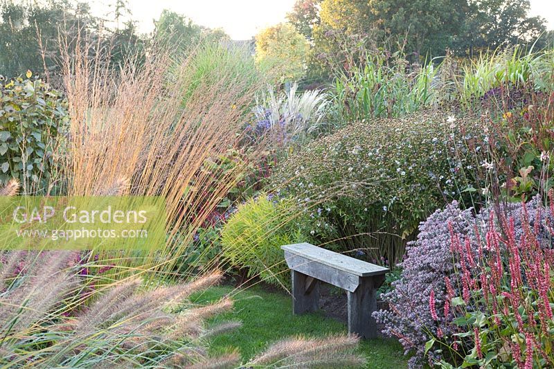 Seating area in the autumn garden, Moor grass, fountain grass and asters, Molinia caerulea Heidebraut, Pennisetum viridescens, Kalimeris incisa, Aster lateriflorus Horizontalis 
