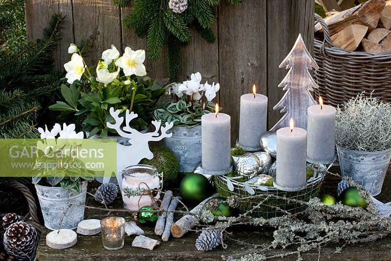 Winter decoration with Christmas roses and cyclamen in pots, Helleborus niger, Cyclamen, Advent wreath in a wire basket 