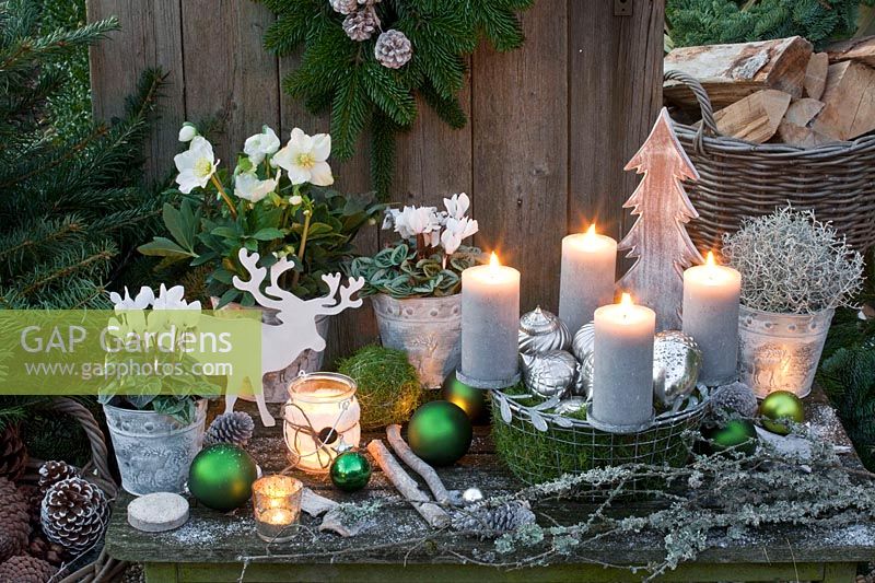 Winter decoration with Helleborus niger and Cyclamen in pots, Advent wreath in a wire basket 