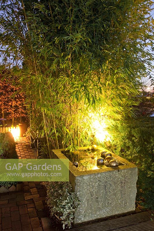 Light in the garden, spotlighted bamboo and water basin 