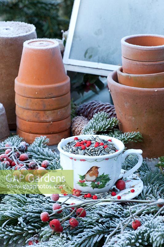 Bird food in a cup with robin motif 