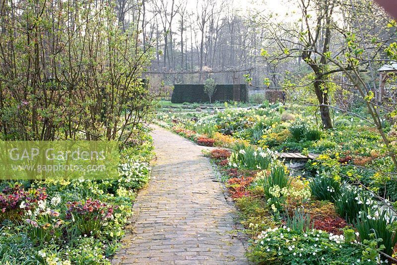 Garden in spring 