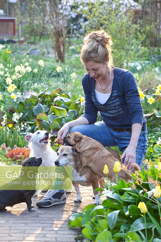 Garden owner, Anja van Heeswijk and her Romanian stray dogs 