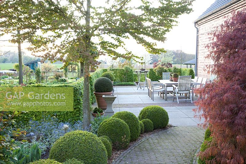 Path to the terrace lined with boxwood balls 