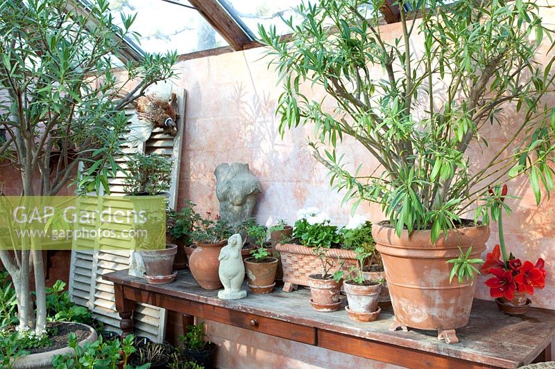 Interior view of winter garden with frost-sensitive potted plants 
