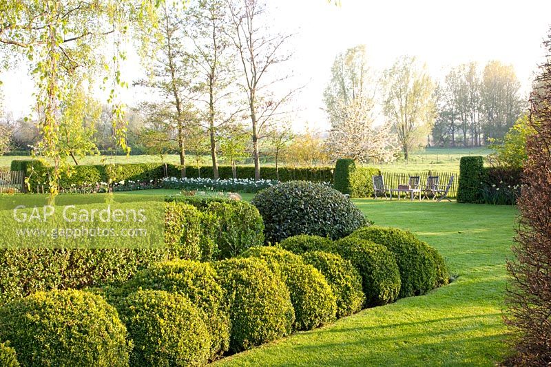 Garden with topiary, boxwood, holly 