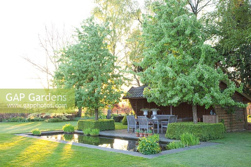 Seating area at the formal water basin with Chinese ornamental pear, Pyrus calleryana Chanticleer 
