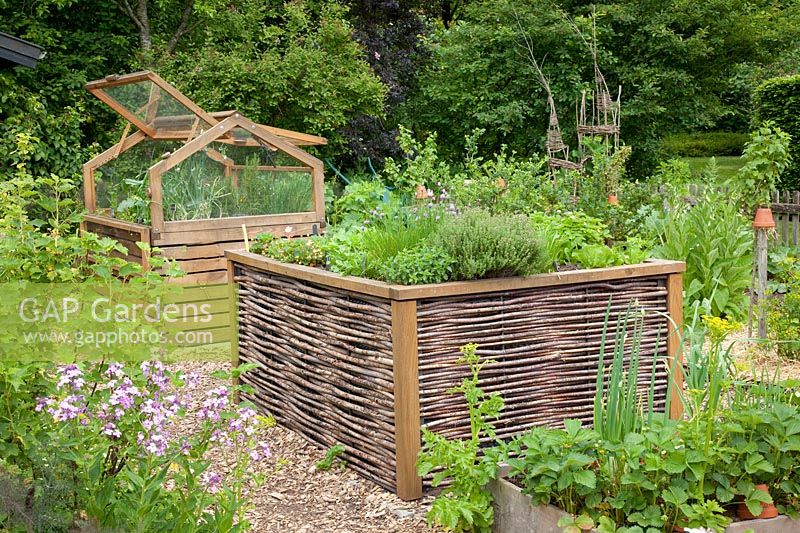 Raised beds with vegetables and herbs 